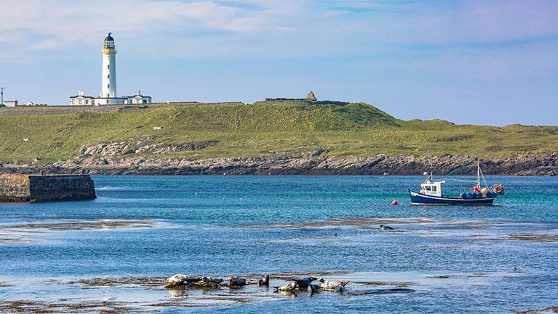 Portnahaven Seals and Lighthouse